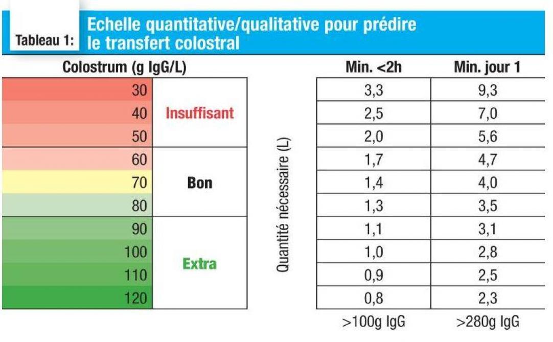 Assurer la bonne pousse et santé veaux BB 2