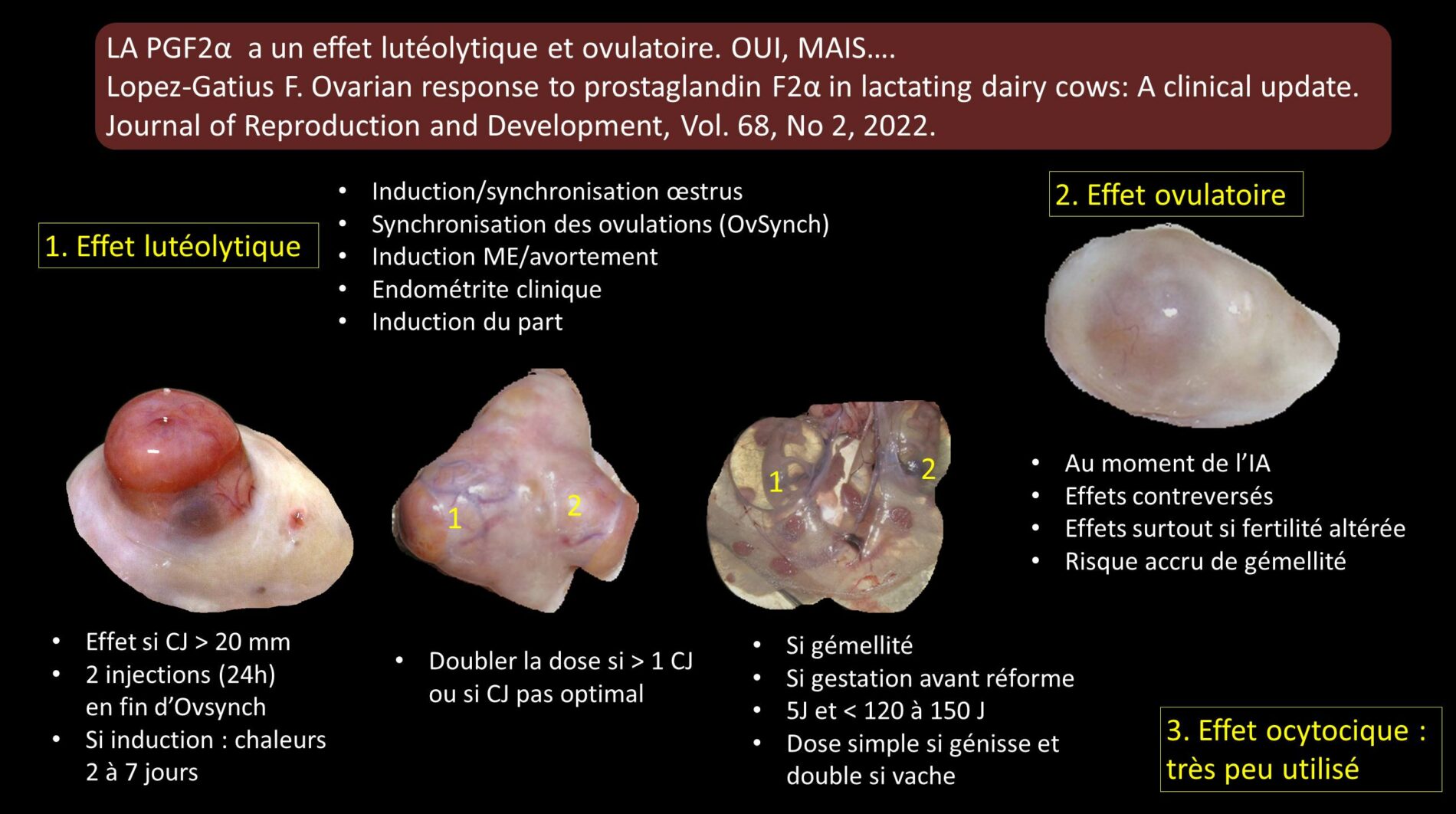 Lopez Gatius 2022 use of PGF2a