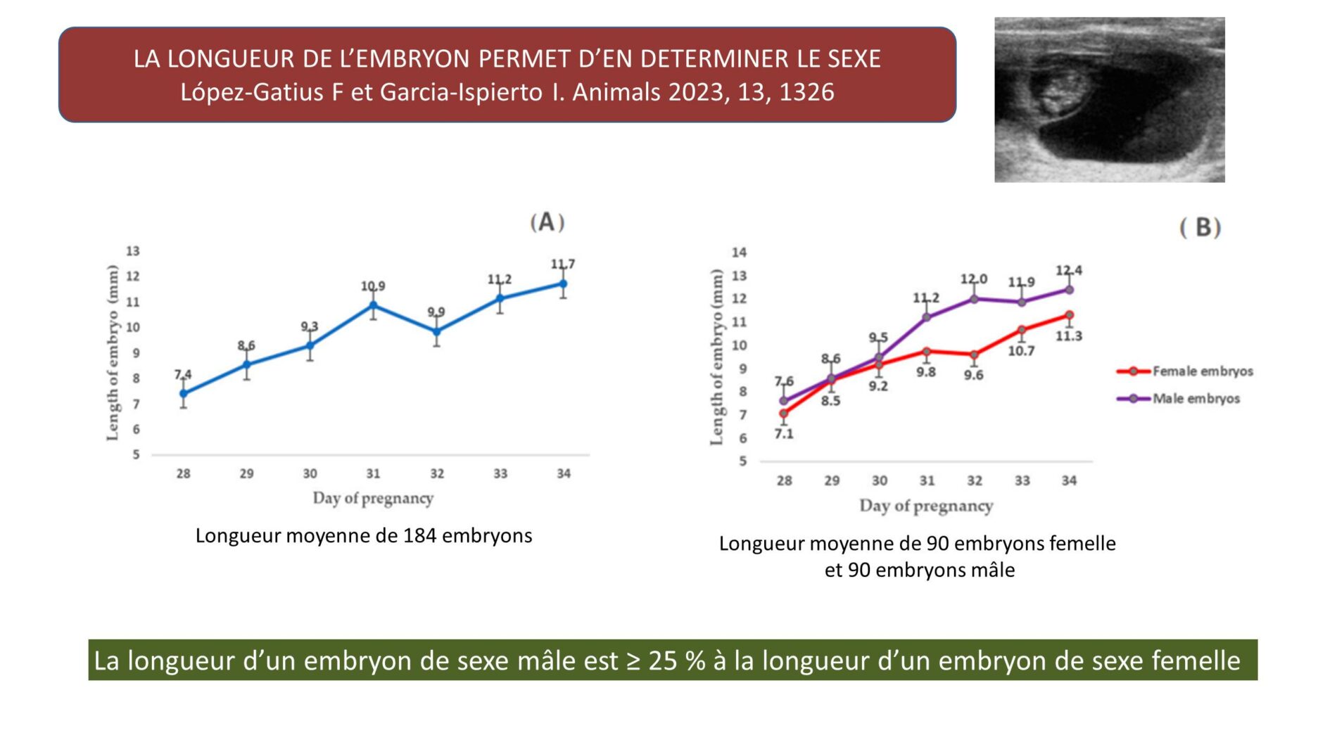 Lopez Gatius 2023 sexage longueur gemellite