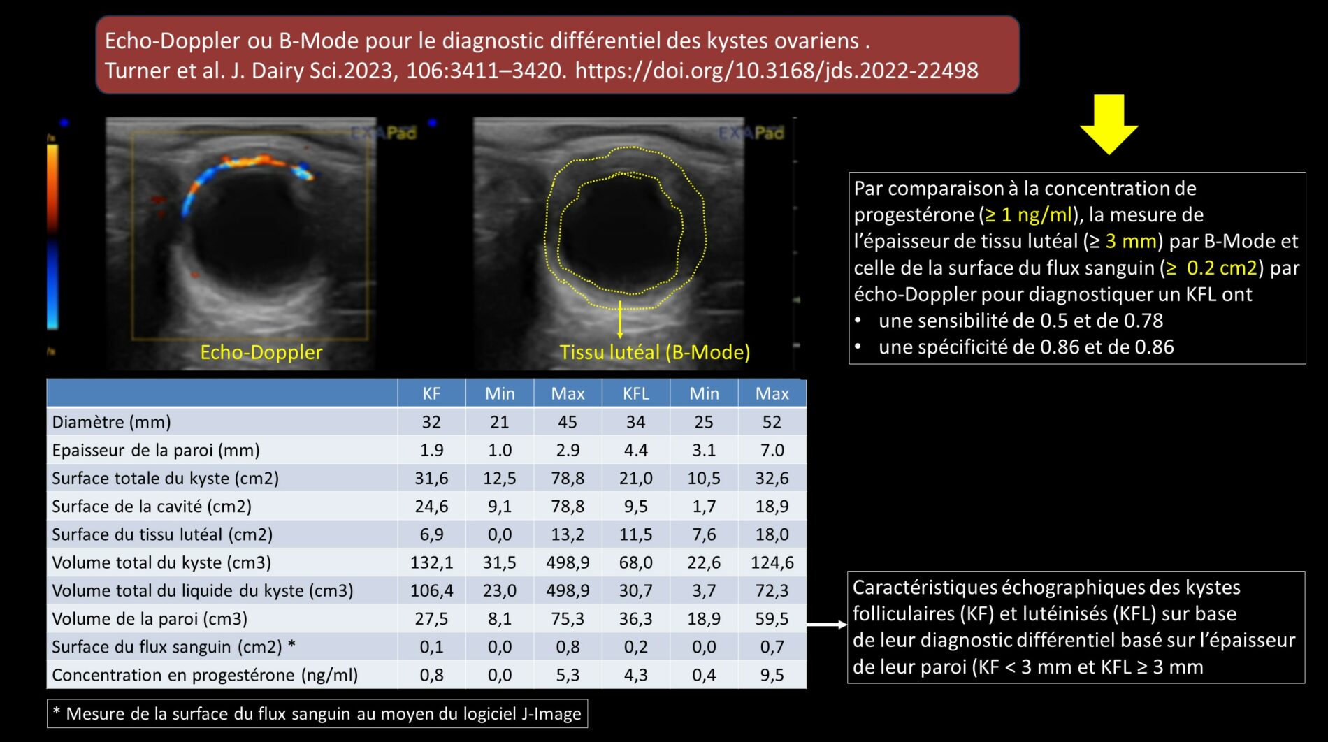 Turner 2023 bmode echodoppler kystes