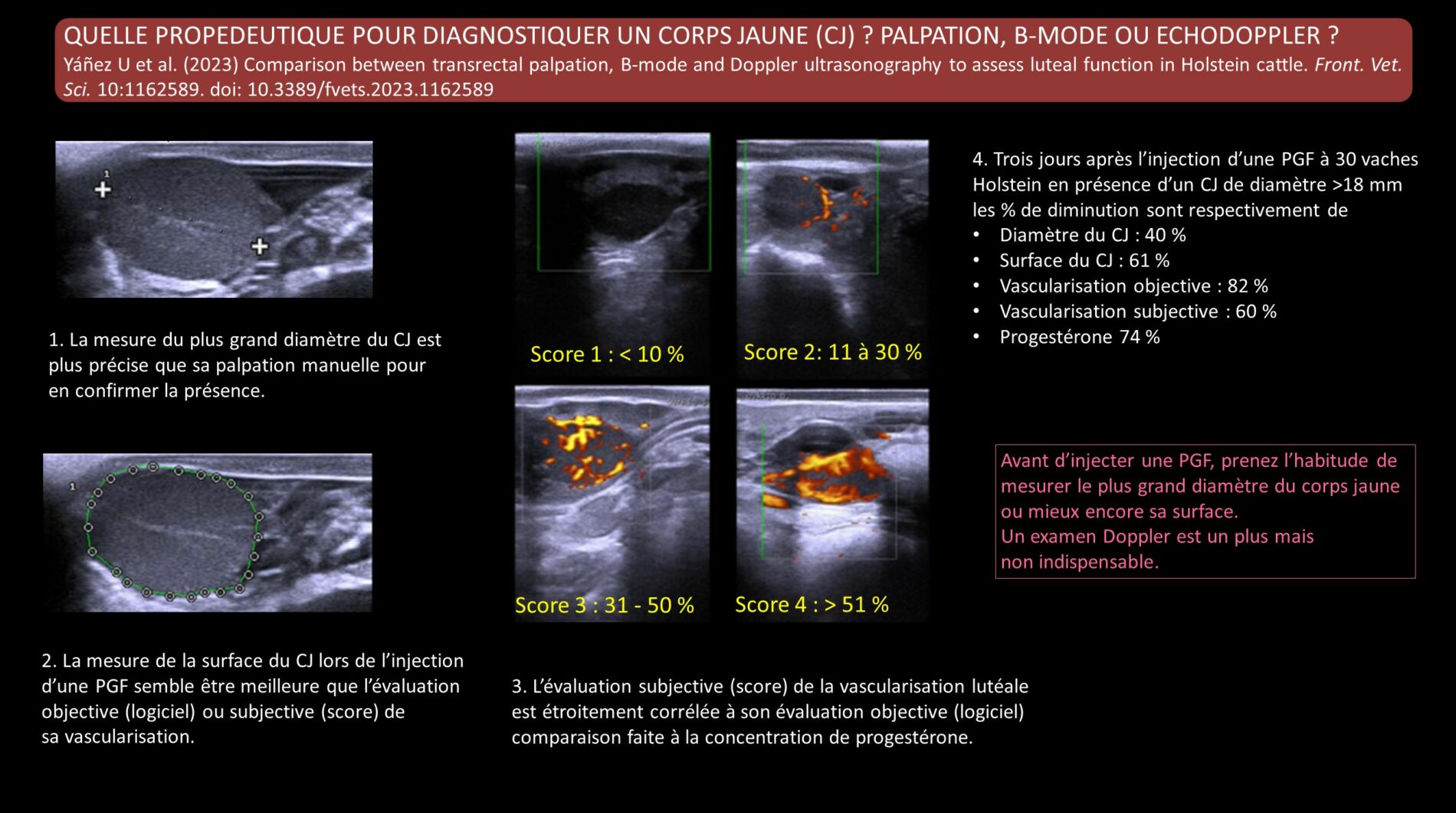 Yanez 2023 CJ US palpation