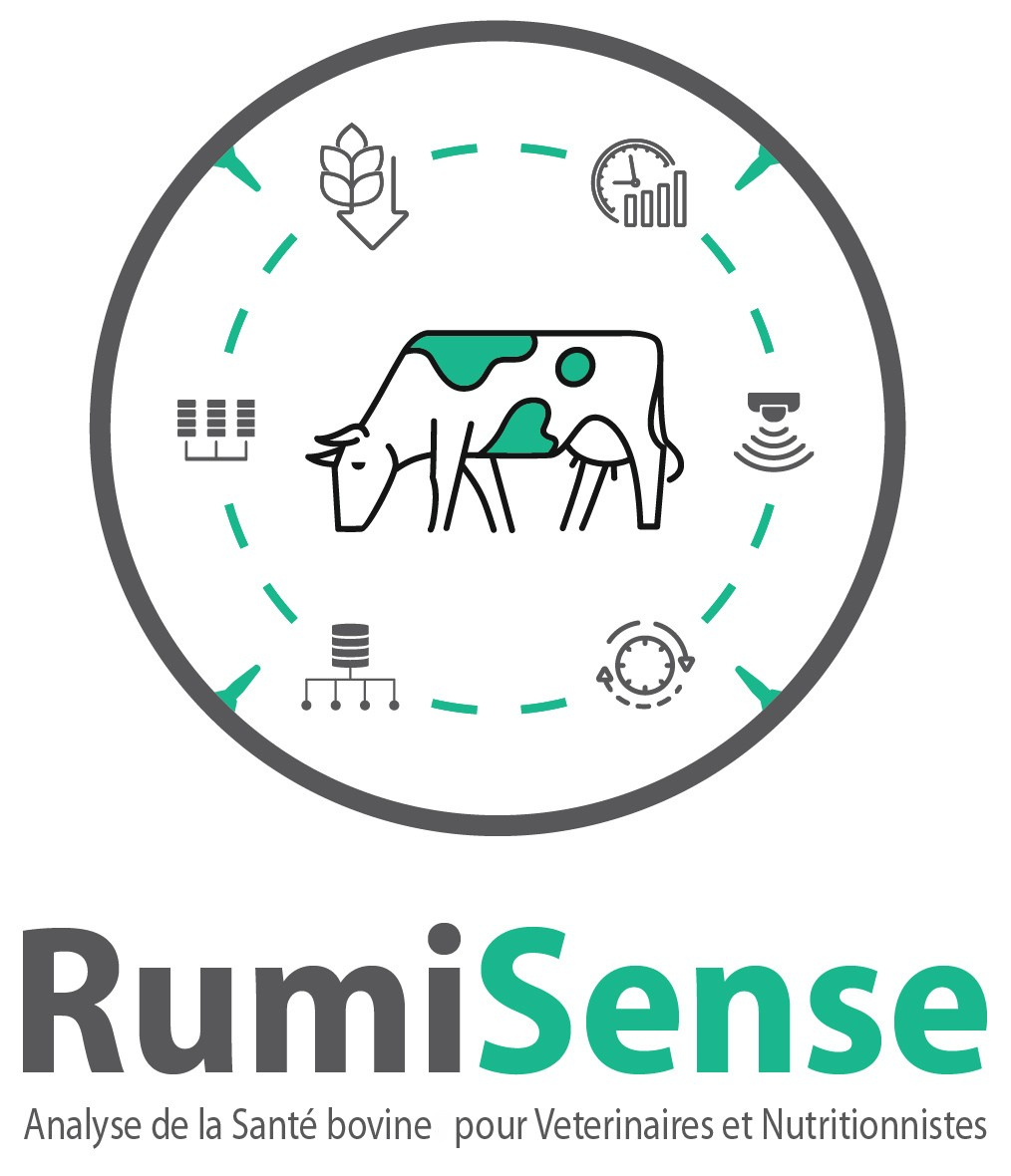 RumiSense Logo_FR