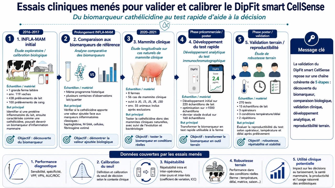 Essais cliniques RumeXperts