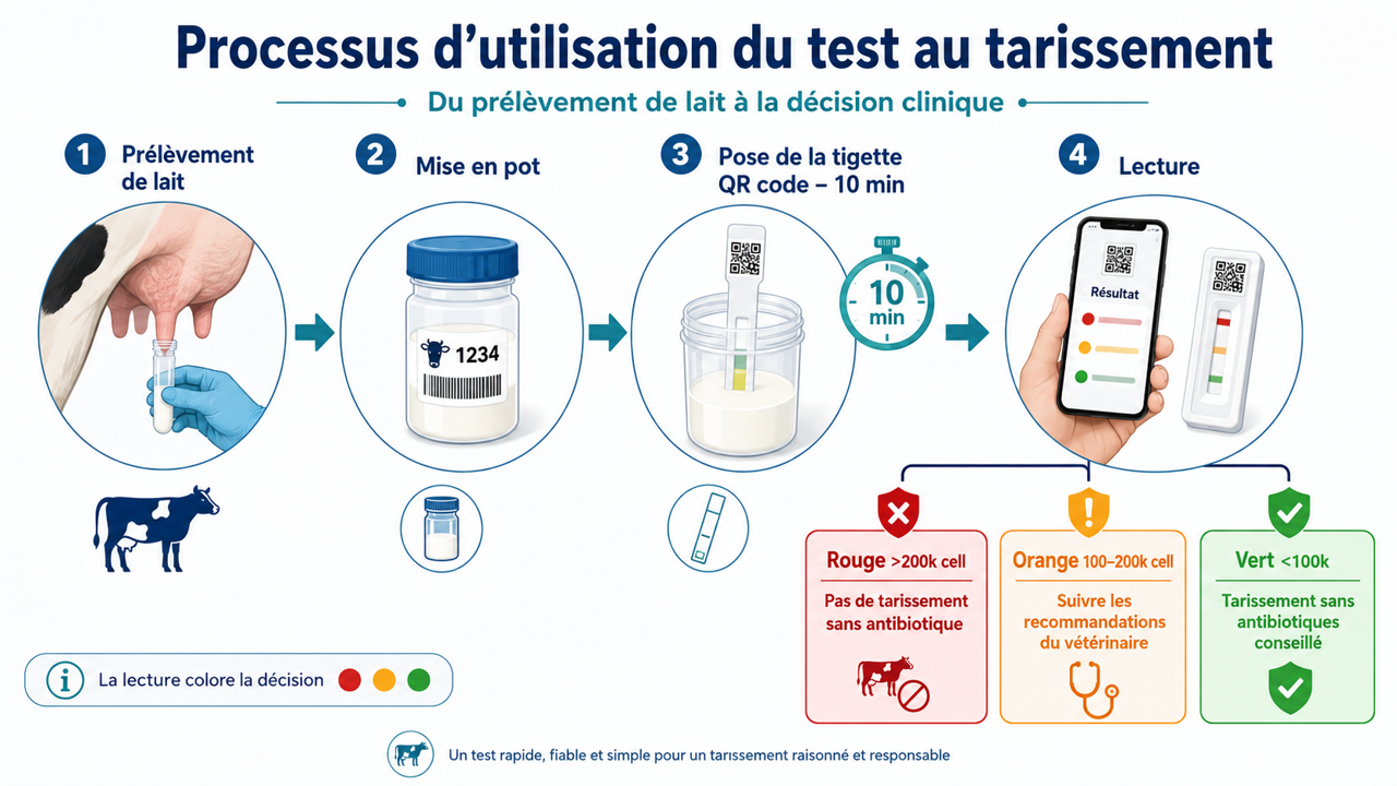 Routine CellSense et tarissement
