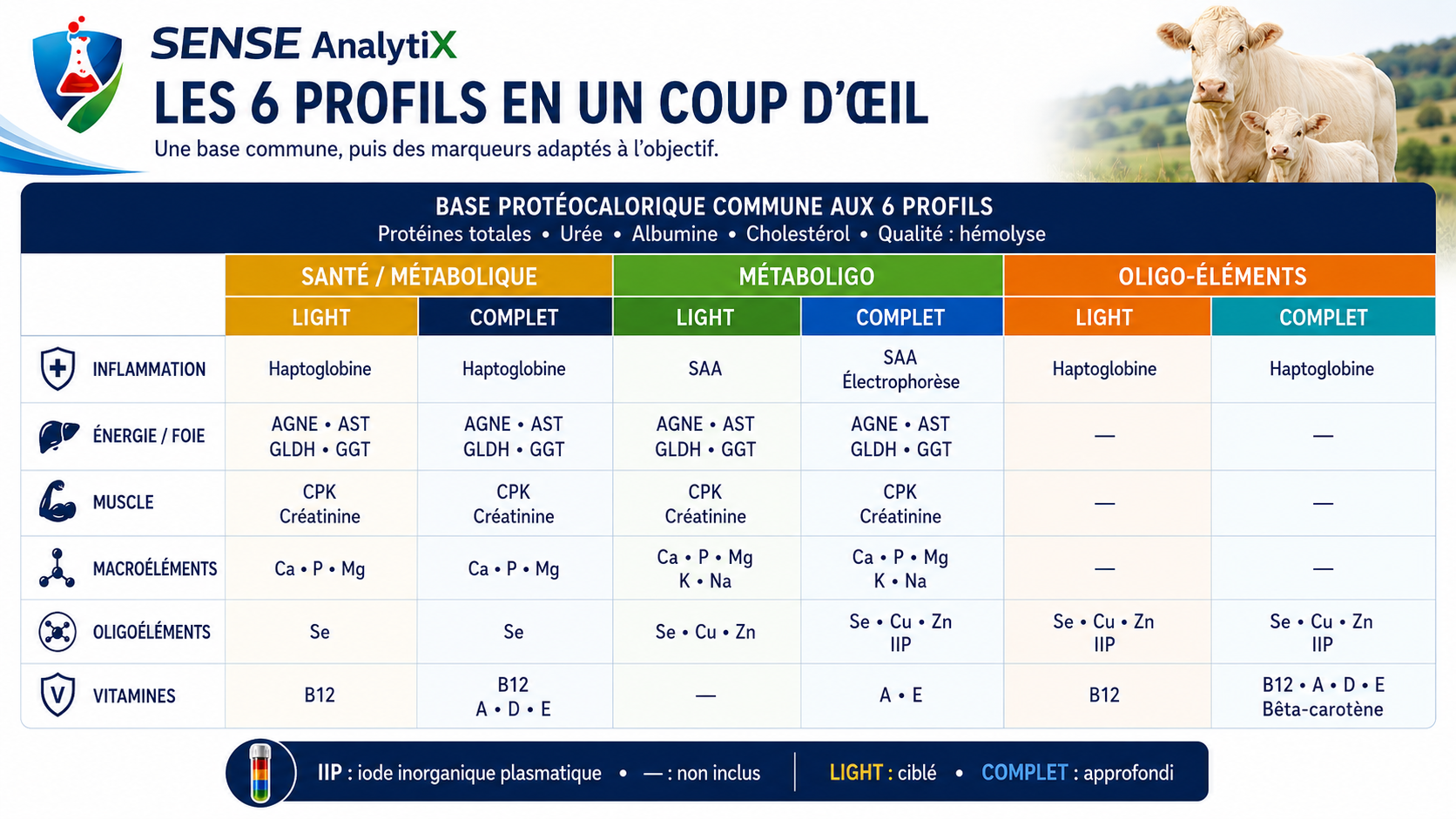 matrix comparative des six profils sense analytiX
